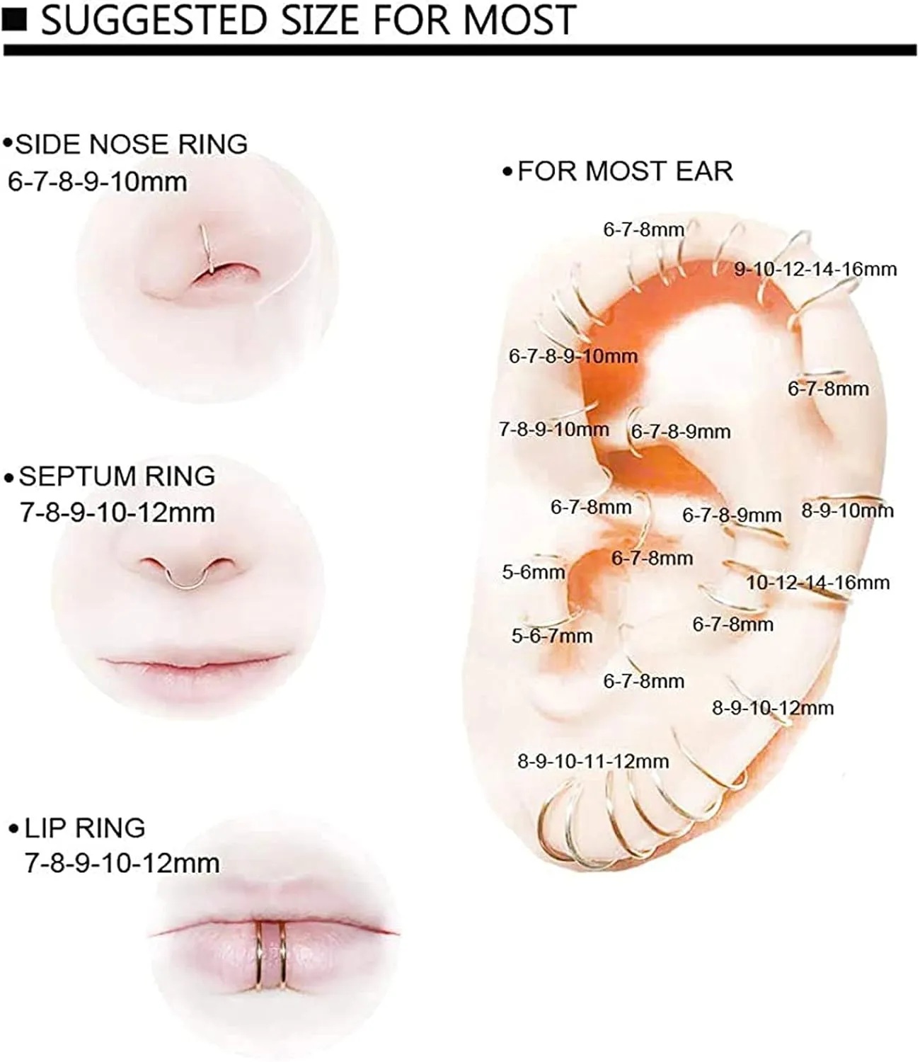 6pcs G23 Titanium Septum Rings 16G Diameter 6mm/8mm/10mm Hinged Nose Ring Hoops for Women Men Girls Cartilage Hoop Earrings Body Piercing Rings Black/Silver/Gold/Rose Gold Lip Rings