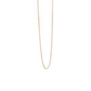 Celine Chain Necklace